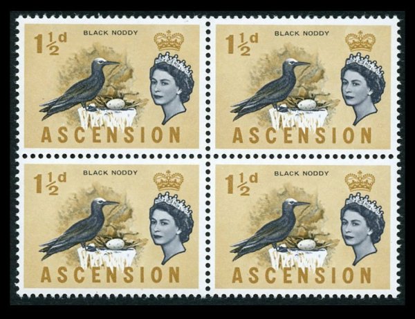 Ascension 1963  1½​d Black Noddy Bird Block Cobalt Omitted