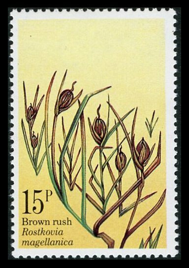 Falkland Island Dependencies 1981 Plants 15p Brown Omitted