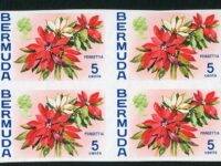 Bermuda 1970 Poinsettia 5c Imperforate Block