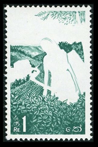 Ceylon 1964 1r. Tea Plantation Brown Omitted