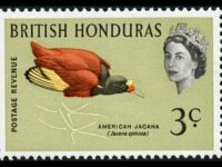 British Honduras 1962 3c Jacana Bird Blue-Green Omitted