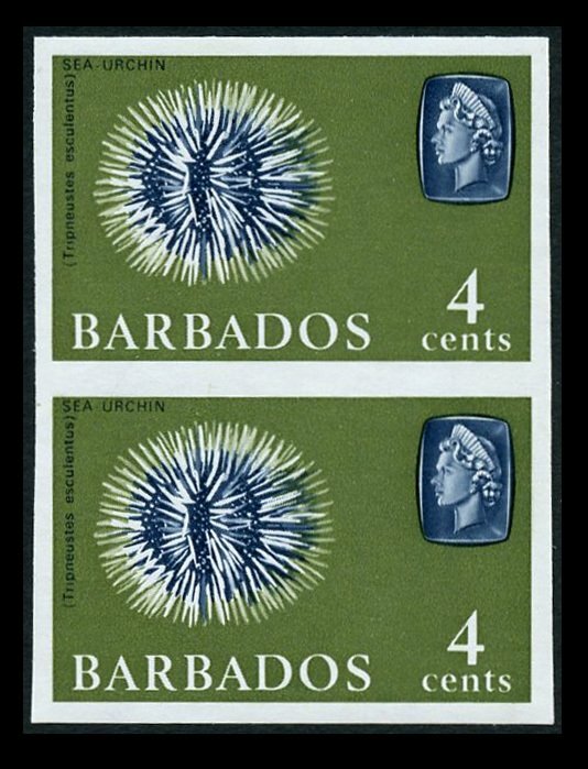 Barbados 1965 Sea Urchin 4c Vertical Pair Imperforate