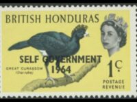 British Honduras 1964 Curassow Bird 1c Orange Omitted