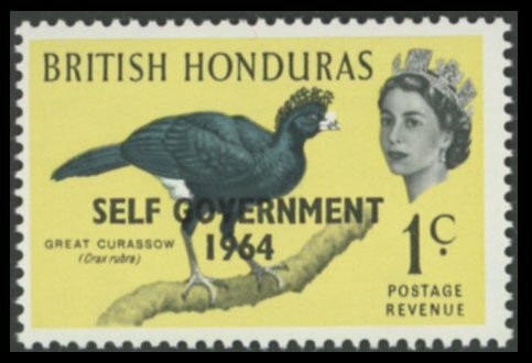 British Honduras 1964 Curassow Bird 1c Orange Omitted