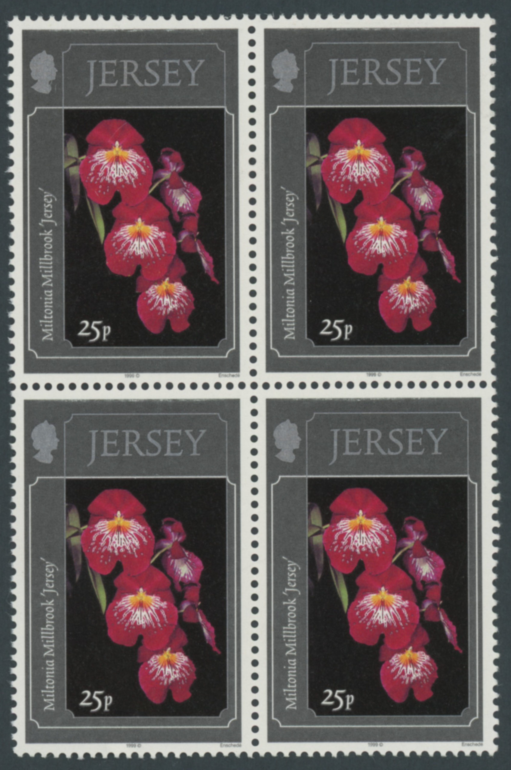 Jersey 1999 Orchids 25p Trial Error Frame In Grey