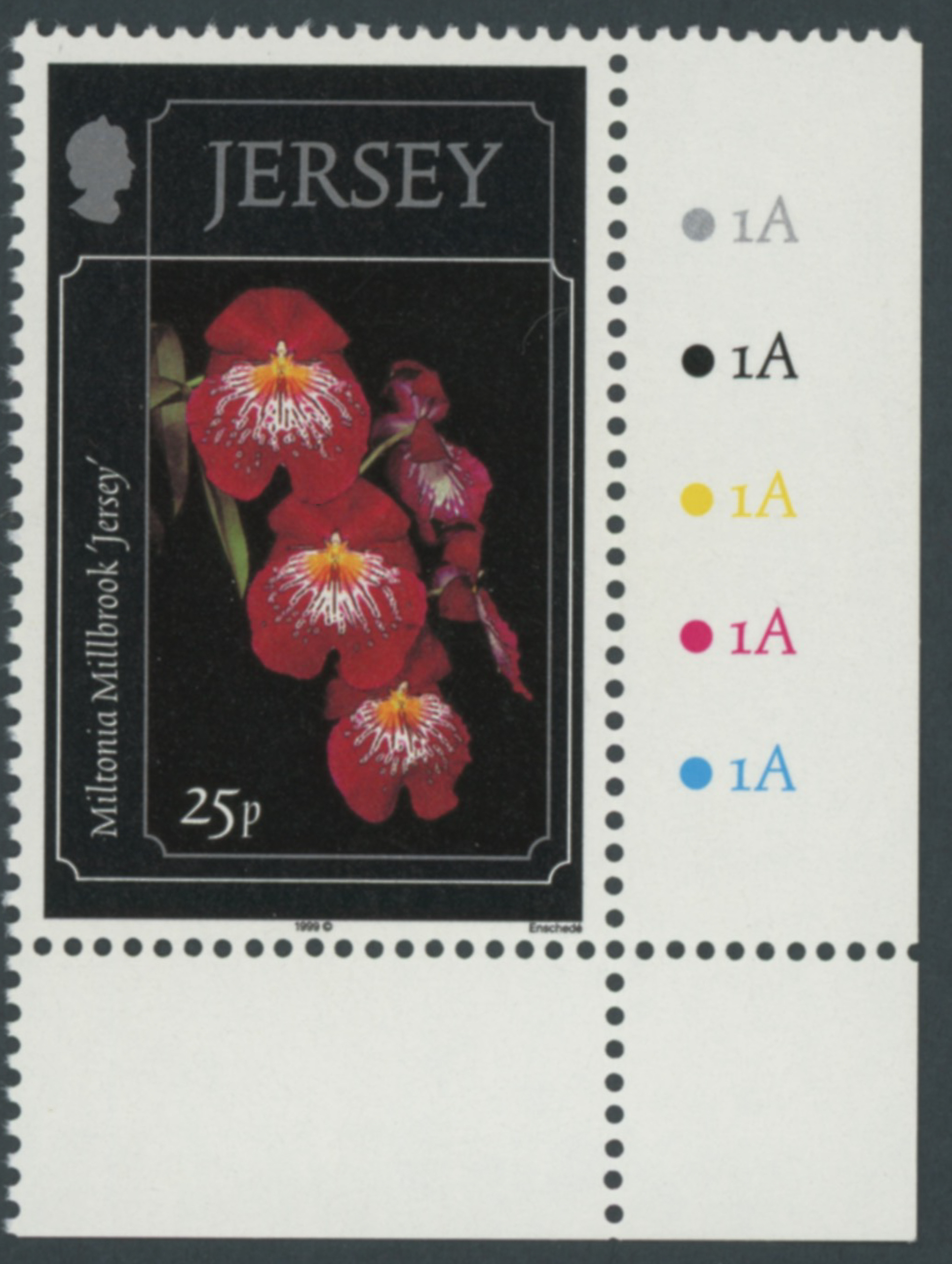 Jersey 1999 Orchids 25p Trial Error Frame In Grey - Image 2