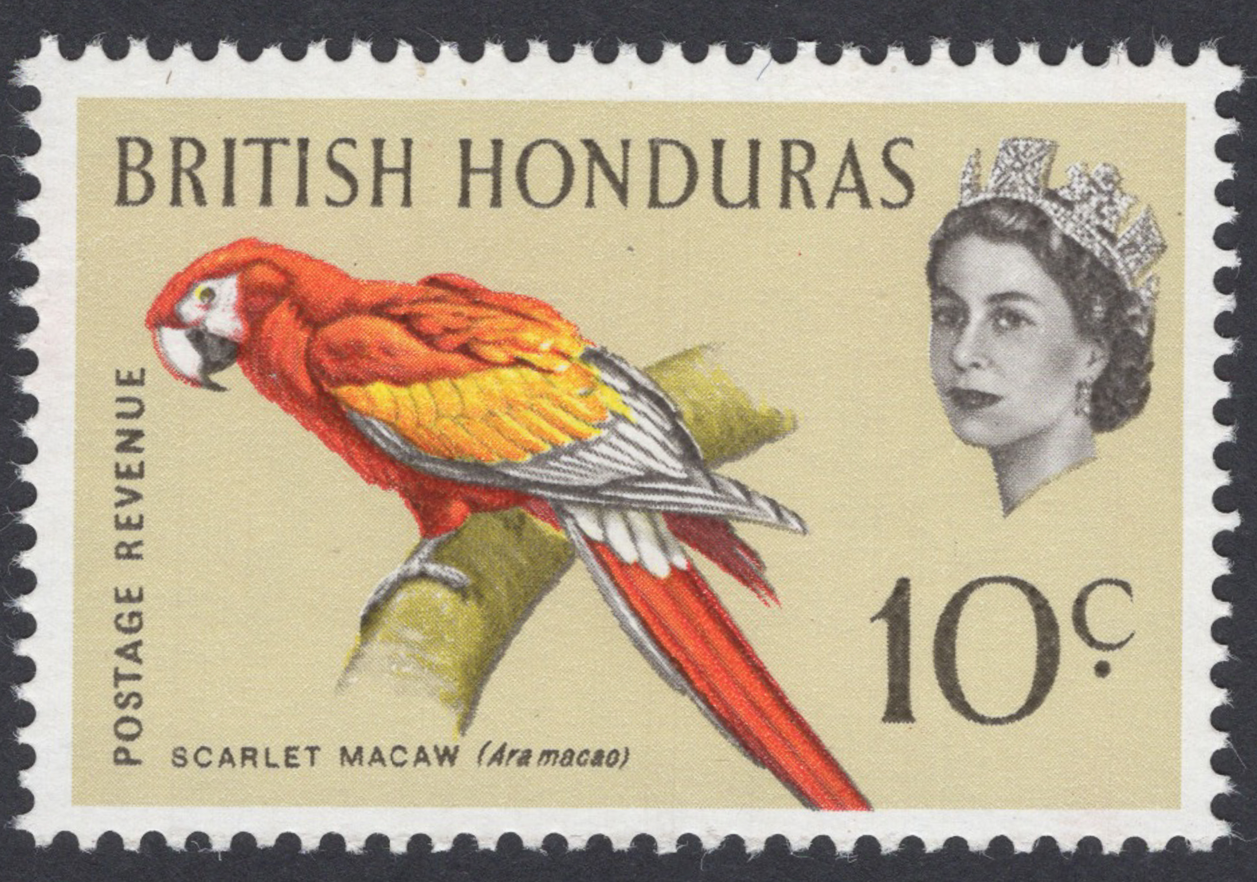 British Honduras 1962 Scarlet Macaw 10c Blue Omitted