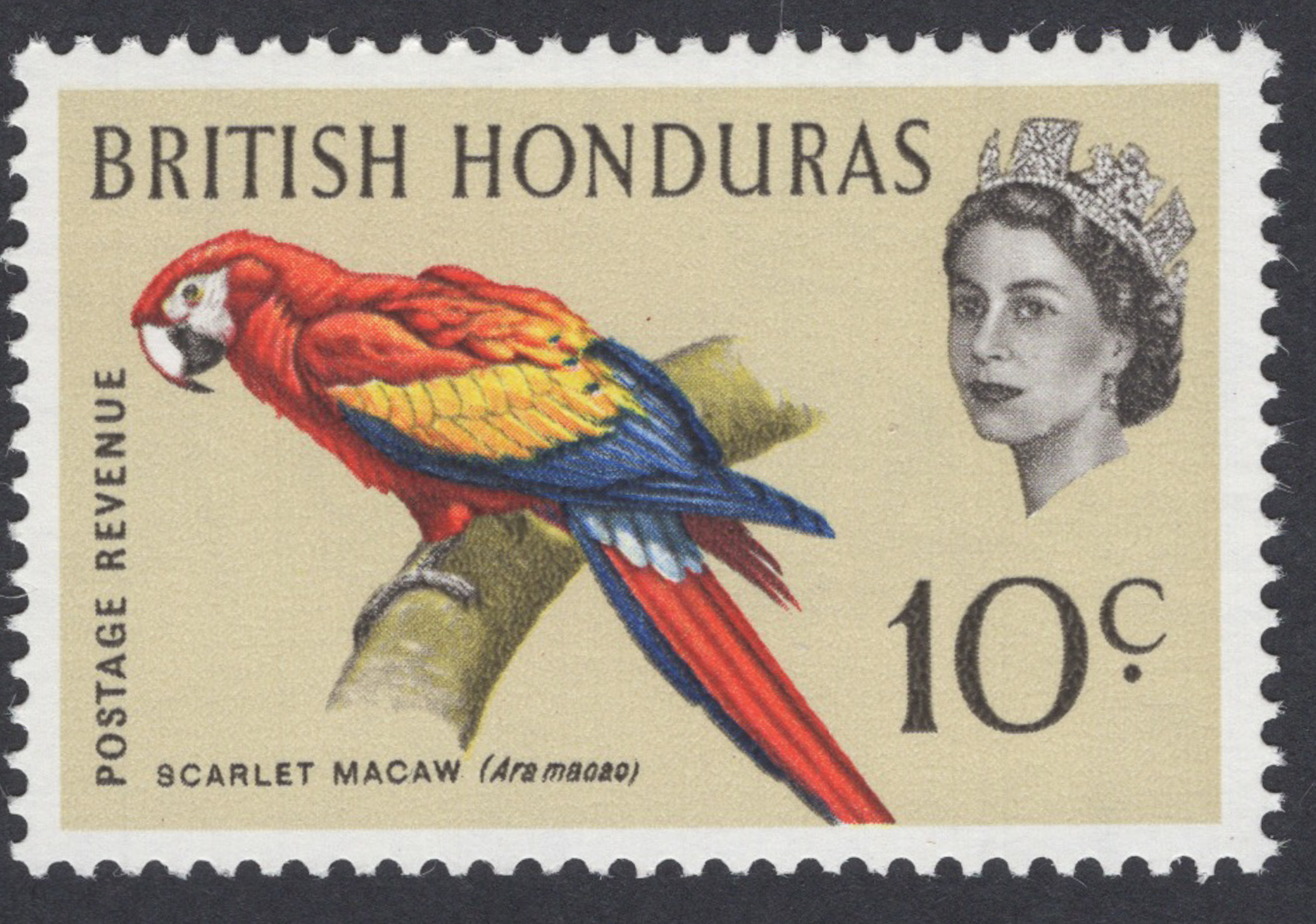 British Honduras 1962 Scarlet Macaw 10c Blue Omitted - Image 2