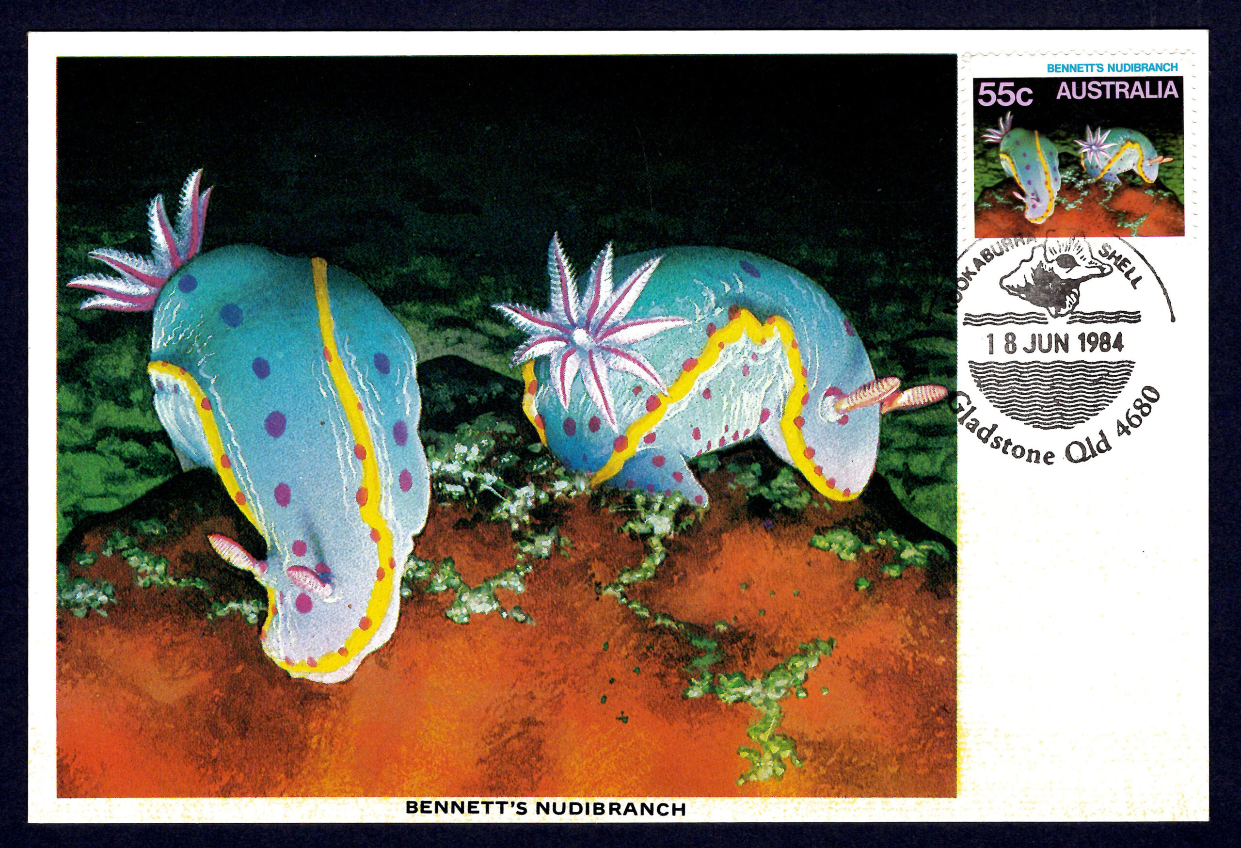 Australia 1984 Nudibranch 55c New Blue Omitted - Image 2