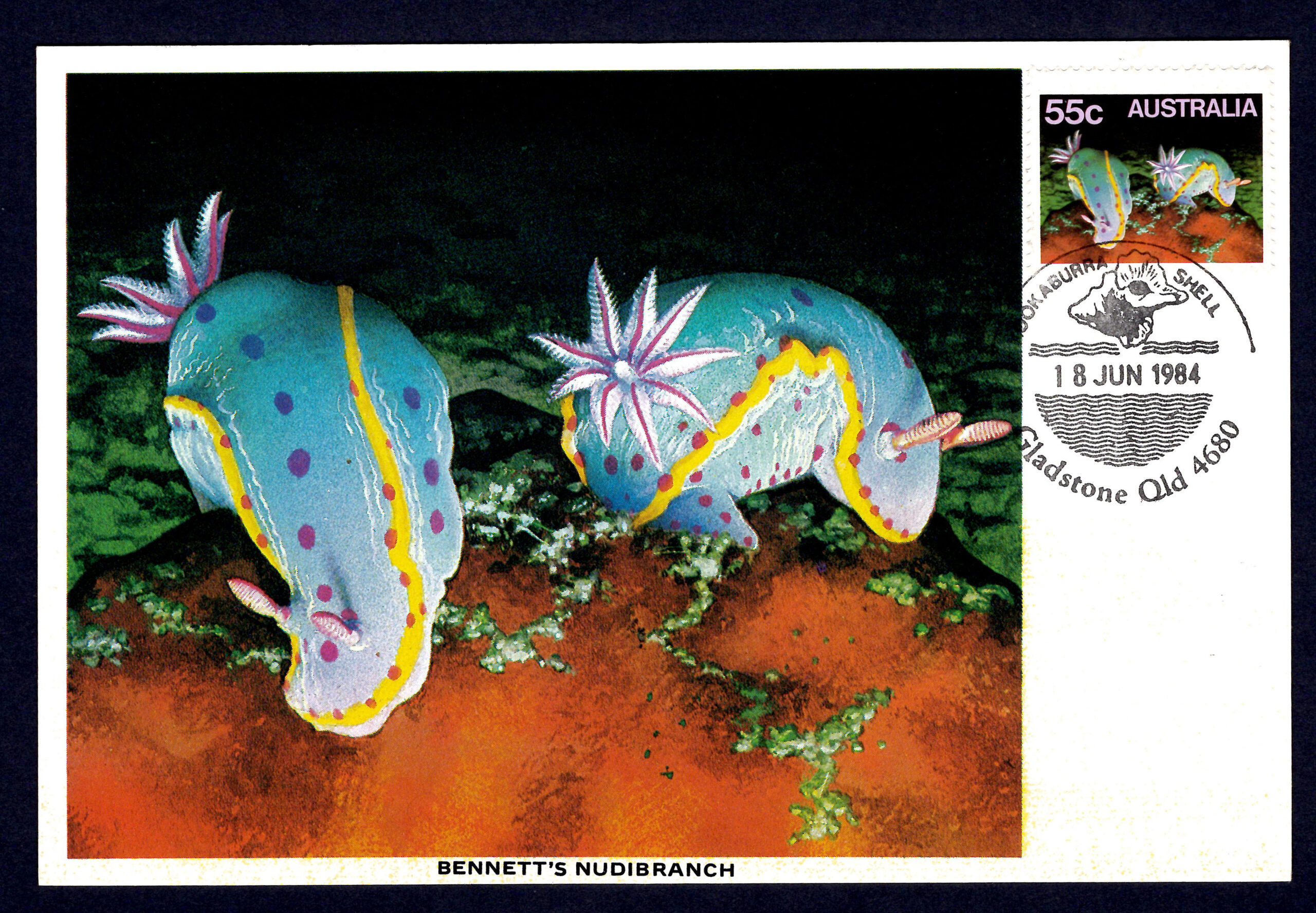 Australia 1984 Nudibranch 55c New Blue Omitted